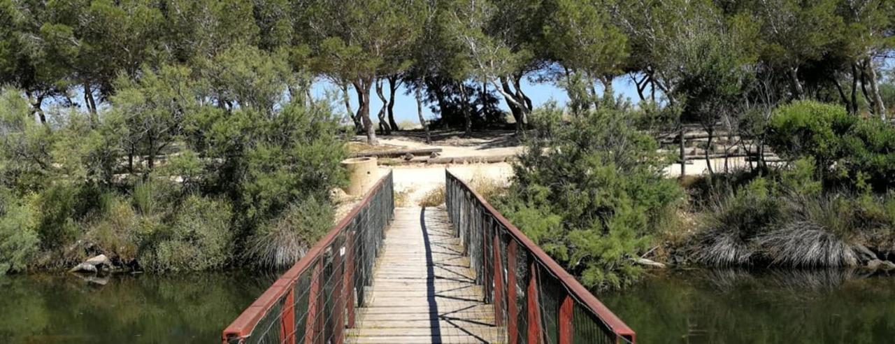 Orosei Re - Villa Aurora Rimedia A 50 Metri Dal Mare Dış mekan fotoğraf
