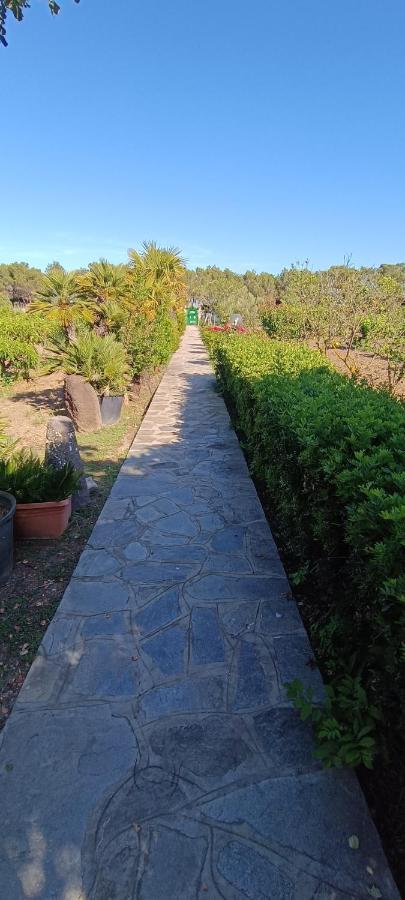 Orosei Re - Villa Aurora Rimedia A 50 Metri Dal Mare Dış mekan fotoğraf